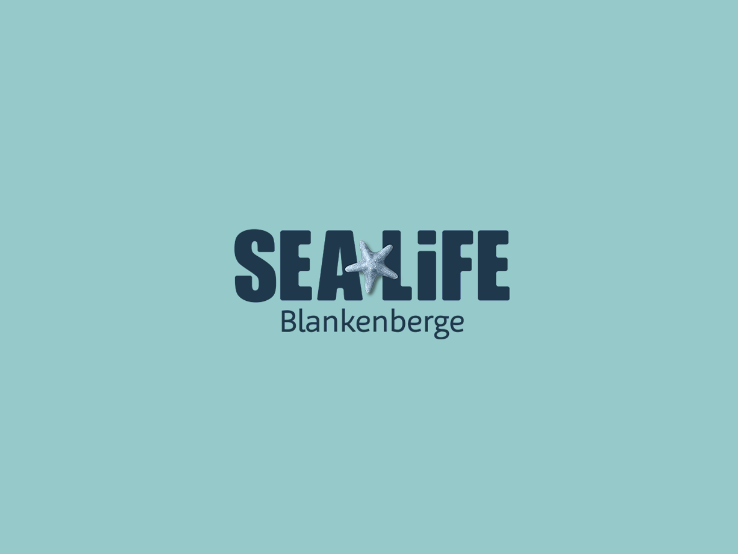 Sea Life 4